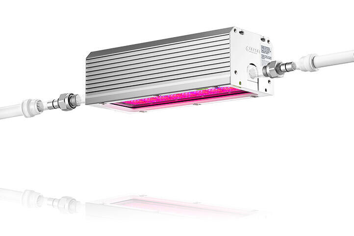Betere controle over het verticale temperatuurprofiel in de kas met watergekoelde LED-verlichting