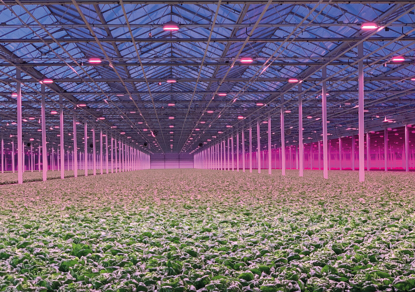 Dimmable and spectrum flexible LED fixtures offer growers maximum control over lighting installation