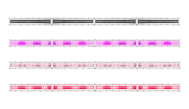 Embrace XL Multi-Layer
