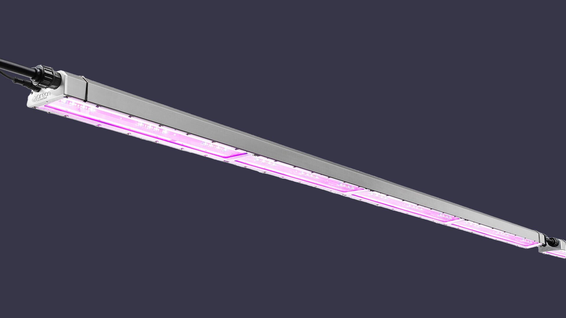 Embrace XL Multi-Layer