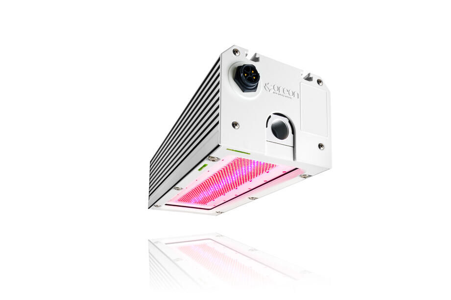 FloralDaily: Oreon launches the smallest and most powerful 1000W LED fixture for greenhouse horticulture.