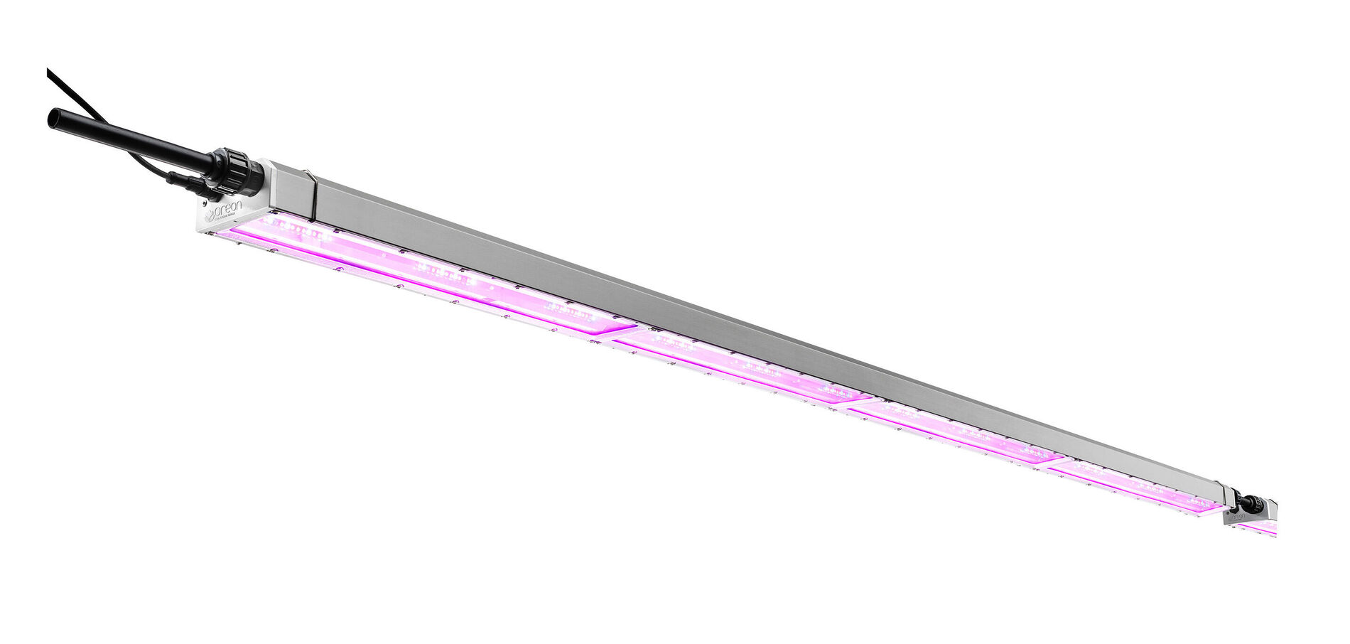 GroentenNieuws: Nieuw multi-layer LED-armatuur 