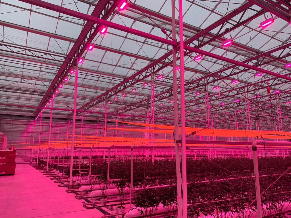 Grower uses aquifer below greenhouse for water-cooled LEDs