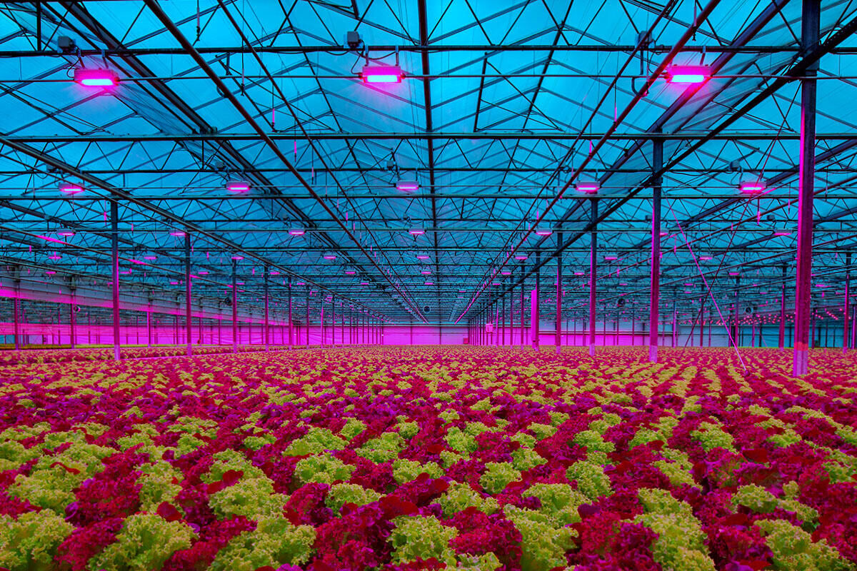 HortibizDaily: trend report Indoor Ag-Con
