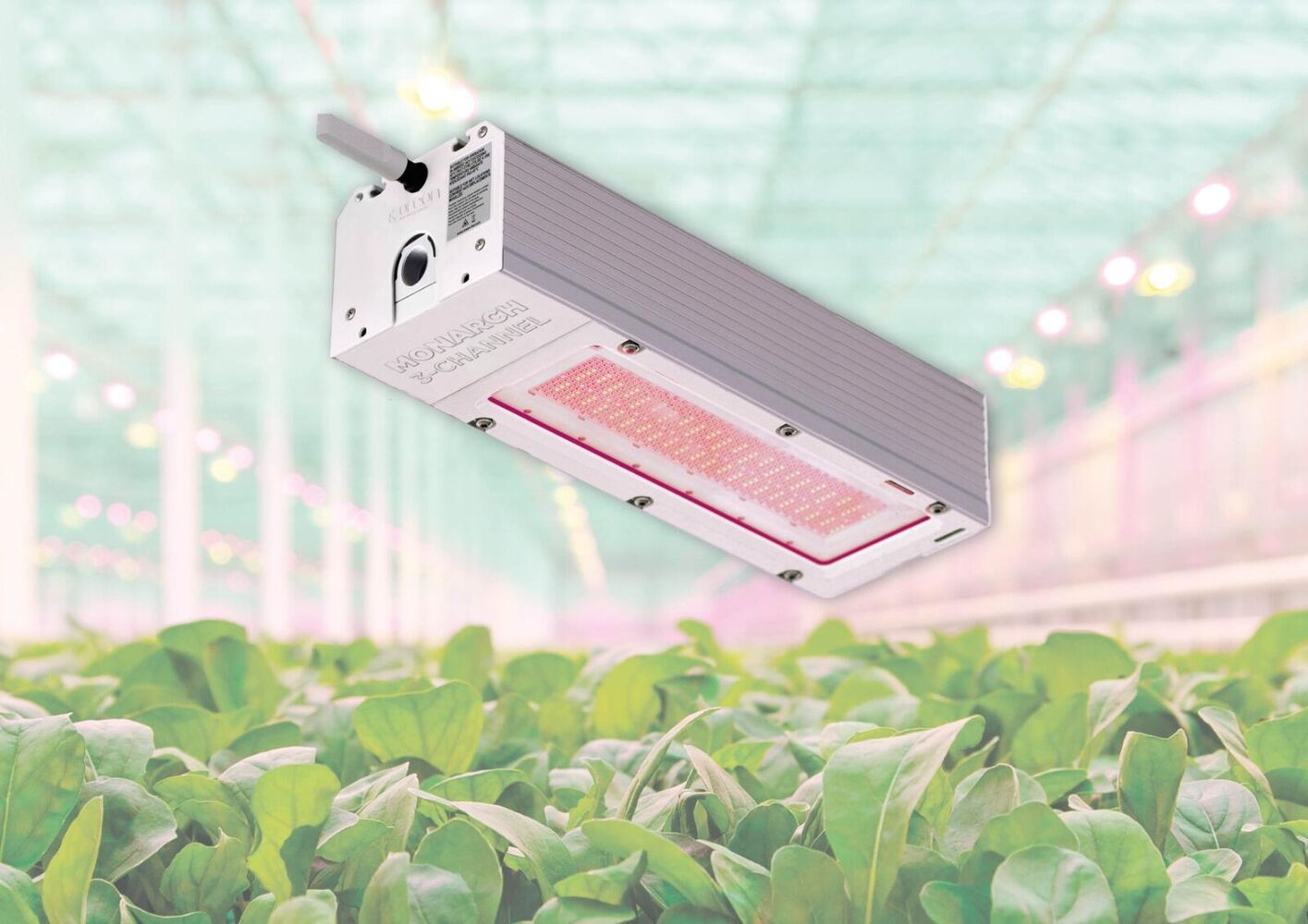 HortiDaily: New dynamic LED toplight launched