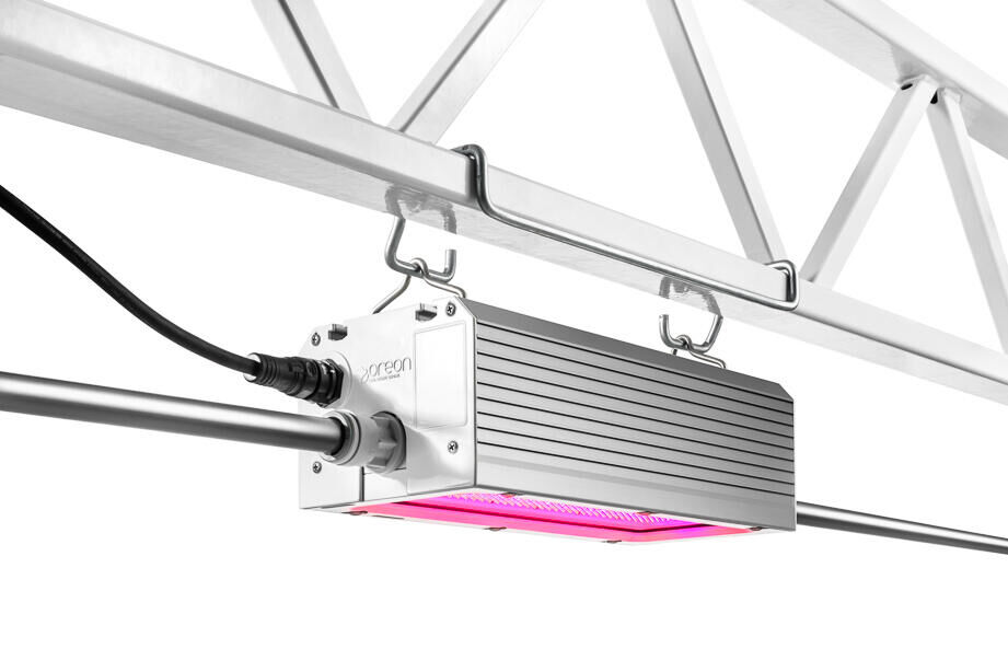 HortiDaily: Oreon launches the smallest and most powerful 1000W LED fixture for greenhouse horticulture.