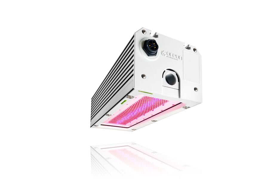 HortiDaily: Oreon launches the smallest and most powerful 1000W LED fixture for greenhouse horticulture.