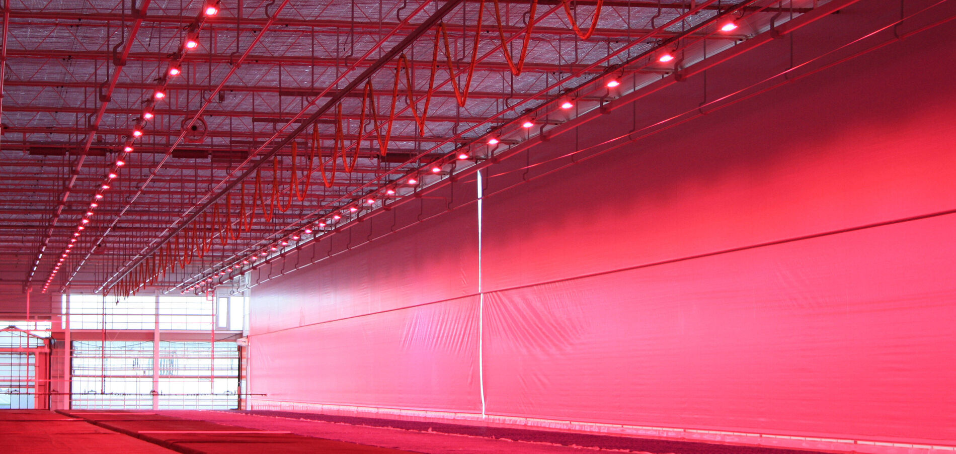 HortiDaily: Water cooled LED to cope with heat and humidity trapped under energy screens designed to limit light emission