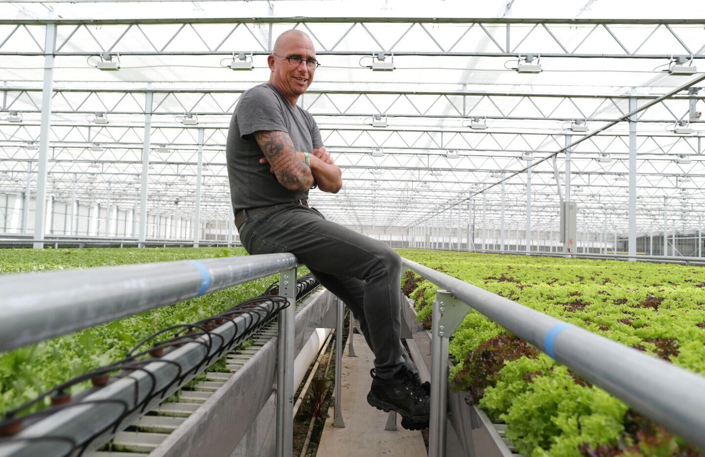 InGreenhouses: This greenhouse has everything a grower could dream of!