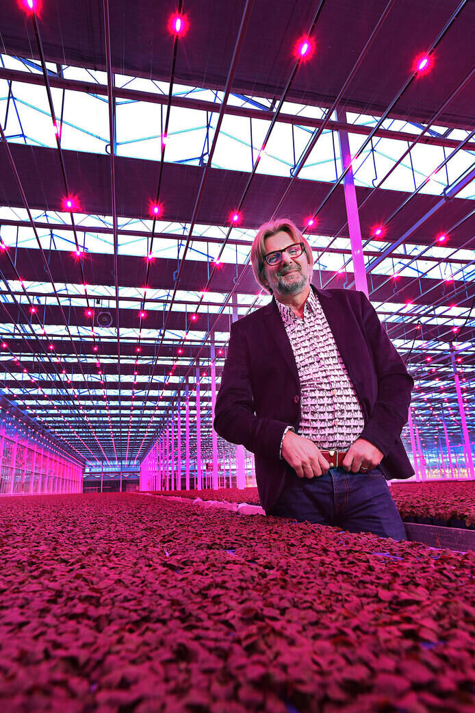 Koppert Cress (microgreens)