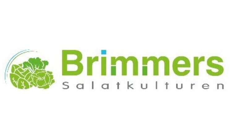 LED'S.TALK.BUSINESS. with Brimmers