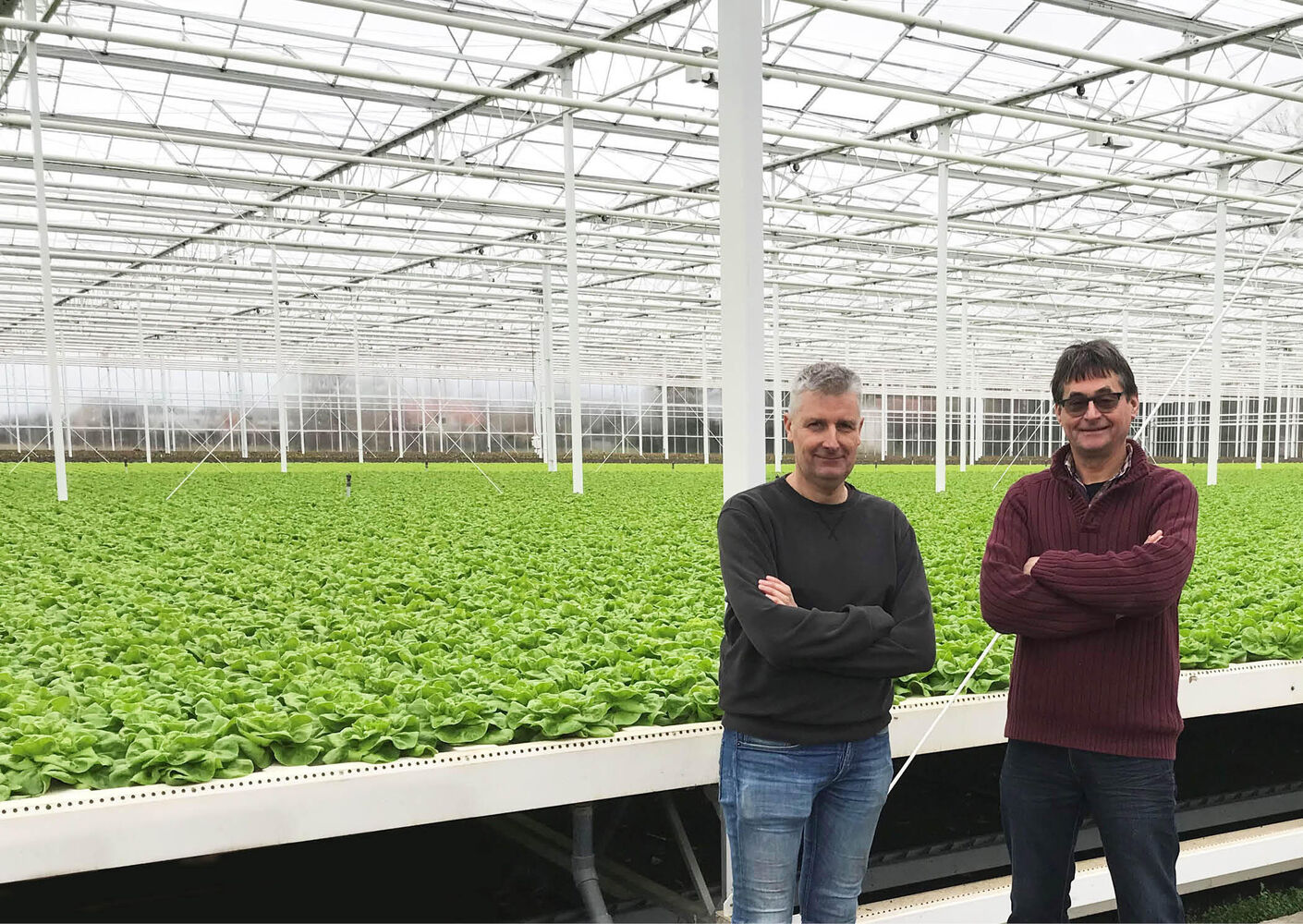 Making a lettuce greenhouse more sustainable using water-cooled LED fixtures