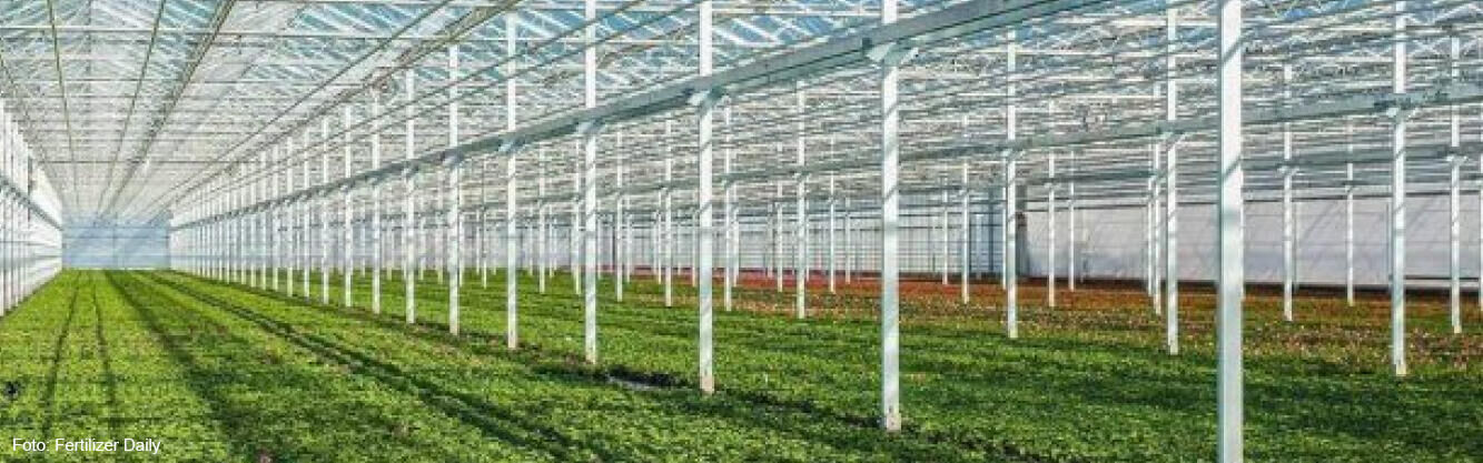 Oreon levert LED-armaturen aan twee Russische greenhouses