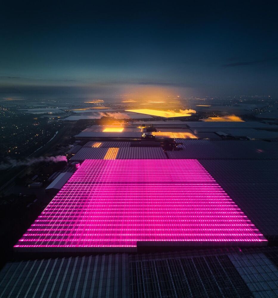 Photographer takes to the sky to capture Hollands' LED greenhouses