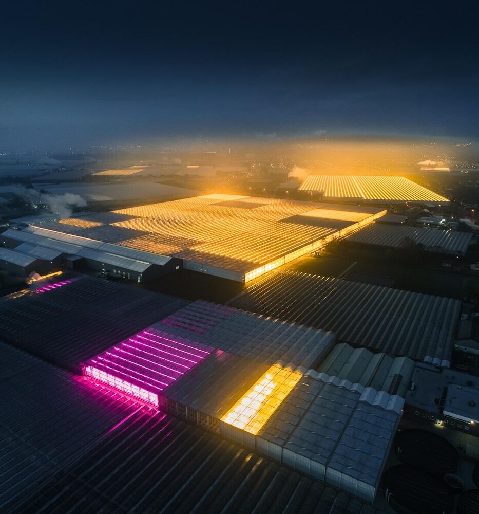 Photographer takes to the sky to capture Hollands' LED greenhouses