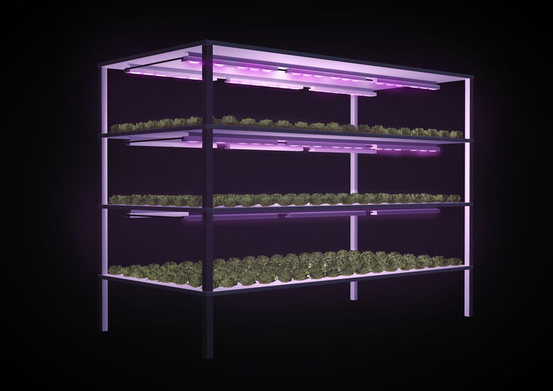 Vertical farming with LED grow lights