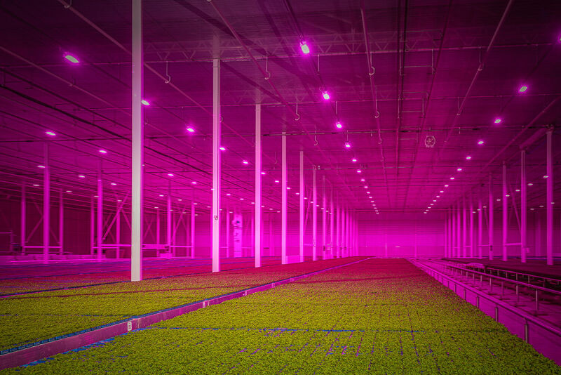 Watergekoelde LED grow lights